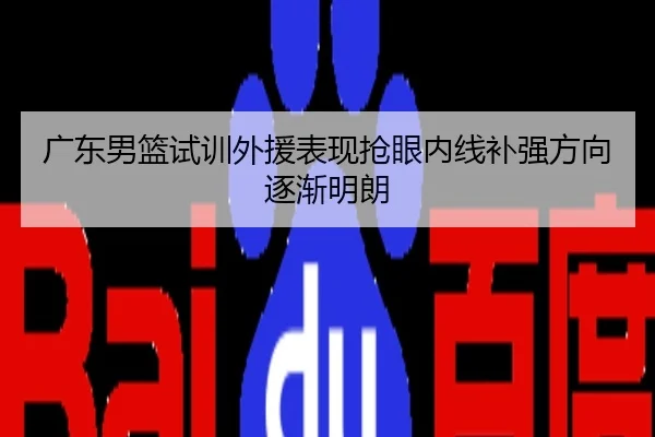 广东男篮试训外援表现抢眼内线补强方向逐渐明朗